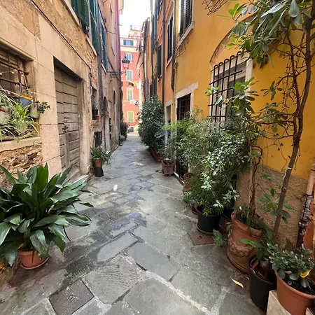 La Casa Dei Conti Сasa de vacaciones Carrara